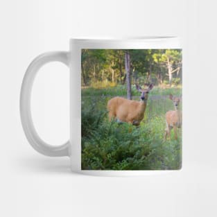 White-tailed deer and fawn Mug